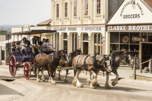 Melbourne Private Tours Sovereign Hill horse and cart