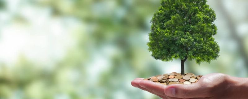 Carbon neutral travel, Neutralising Carbon footprints