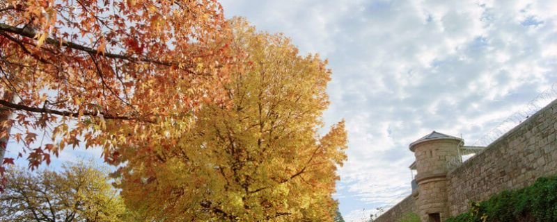 Beechworth 2