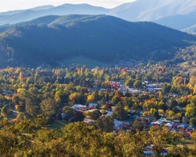 The High Country Victoria: Ways to explore this beautiful region