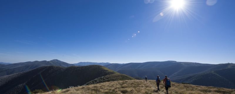 Hiking razorback in the high country