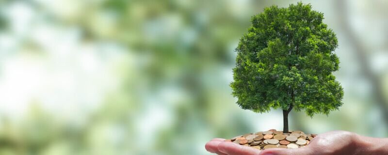 Carbon neutral travel. Offsetting carbon emissions