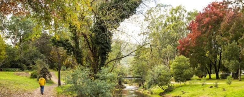 Melbourne Private Tours High Country Bright in autumn